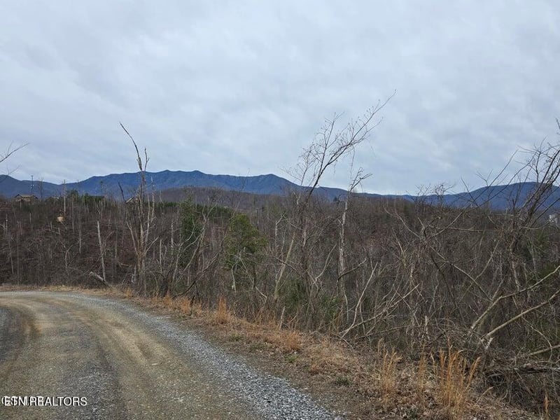 Lot 8 Kristis Pl, Gatlinburg, TN 37738
