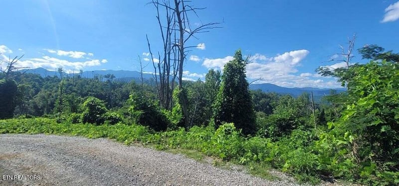 Lot 8 Kristis Pl, Gatlinburg, TN 37738