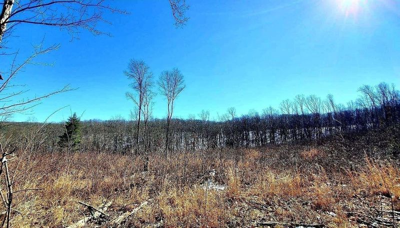 Lot 8 Lower Eagle's Nest, Crab Orchard, TN 37723