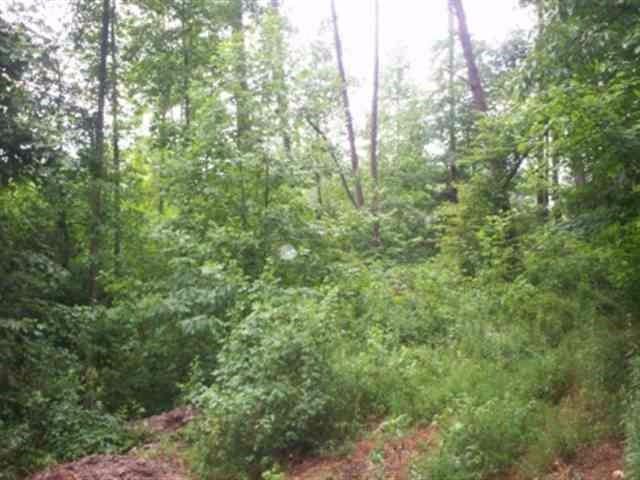 Lot 8 Mount Pleasant Rd, Vonore, TN 37885