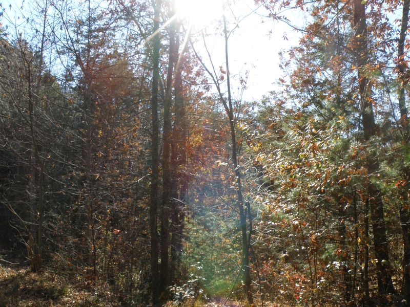 Lot 8 Mountain Rest Way, Sevierville, TN 37876