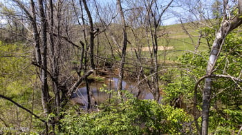 Lot 8 Roddy Branch Rd, Rockford, TN 37853