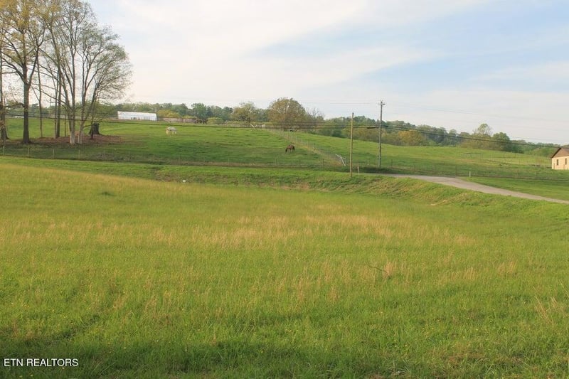 Lot 8 Roddy Branch Rd, Rockford, TN 37853