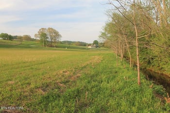 Lot 8 Roddy Branch Rd, Rockford, TN 37853