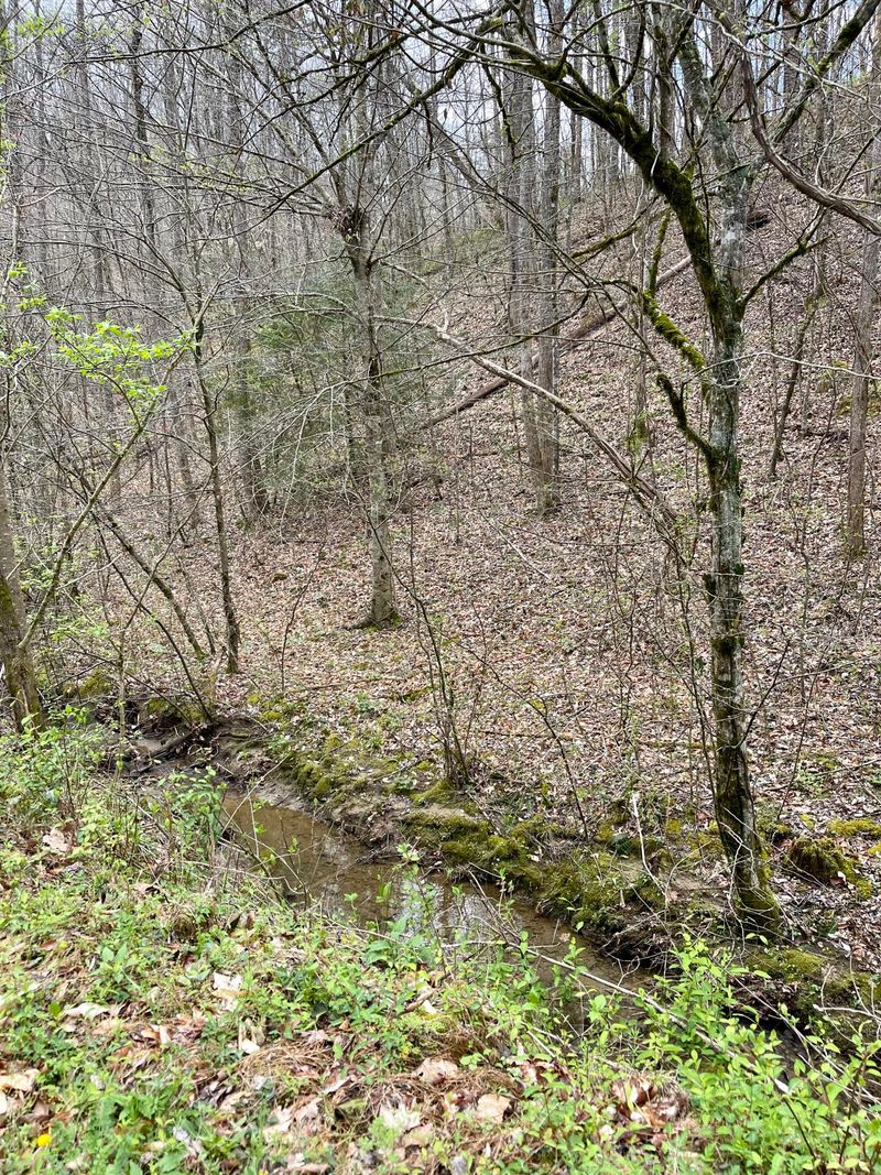 Lot 8 Rule Way, Sevierville, TN 37876