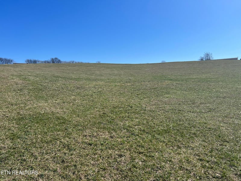Lot 8 Schertz Ln, Rutledge, TN 37861