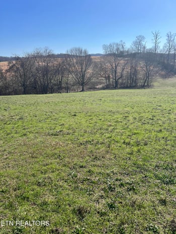 Lot 8 Schertz Ln, Rutledge, TN 37861