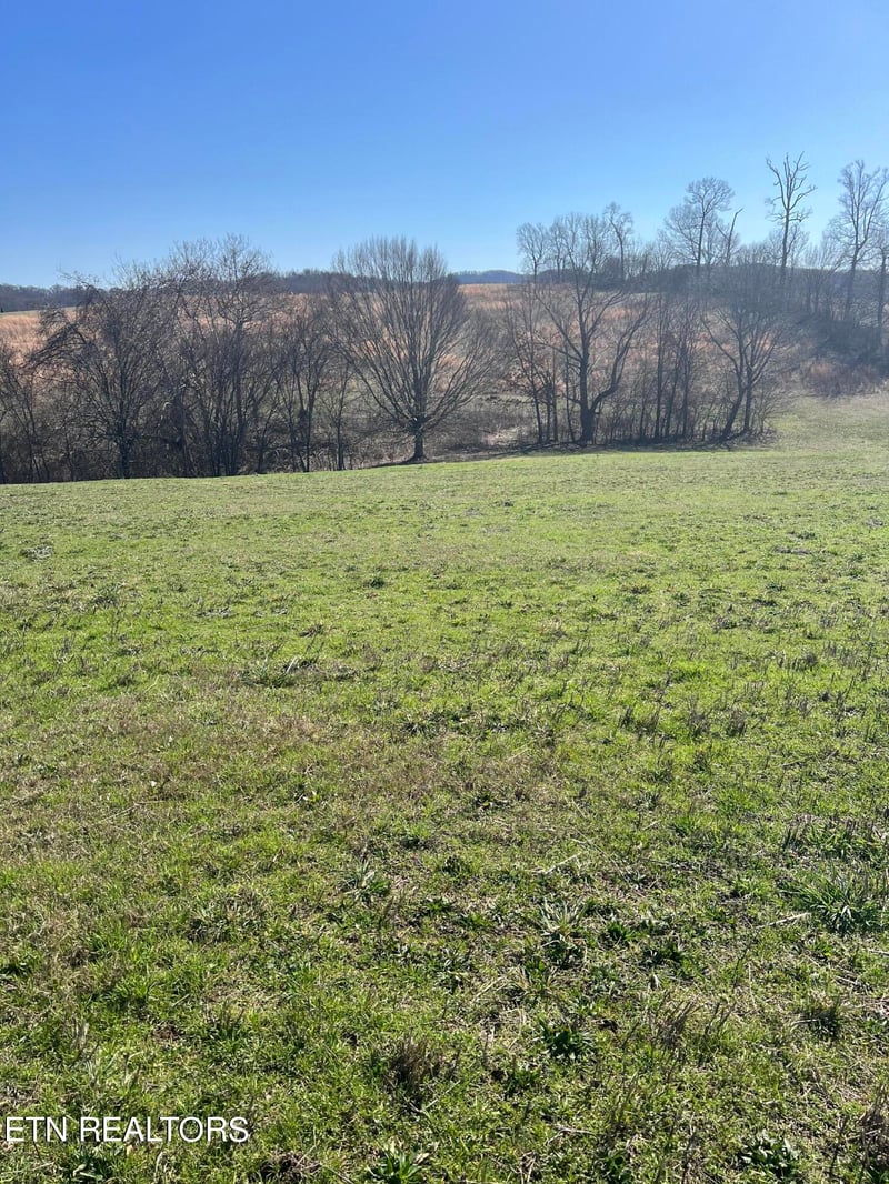 Lot 8 Schertz Ln, Rutledge, TN 37861