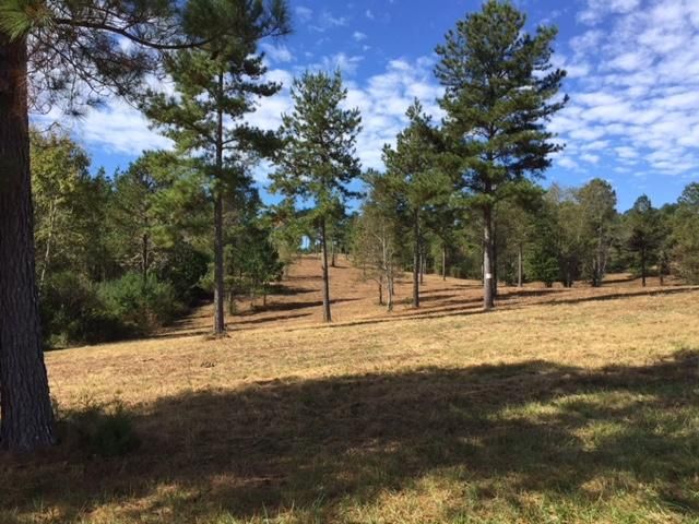 Lot 8 Ward Rd, Loudon, TN 37774