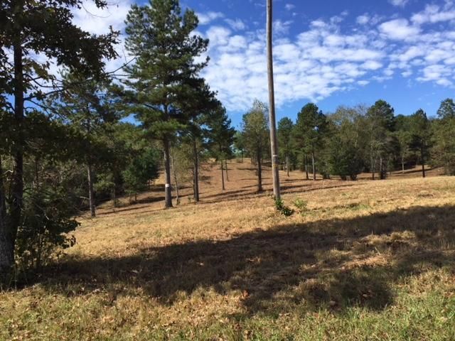 Lot 8 Ward Rd, Loudon, TN 37774