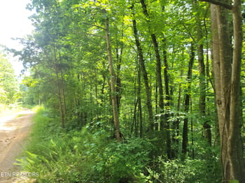 Lot 81 Buttonwood Dr, Sevierville, TN 37876