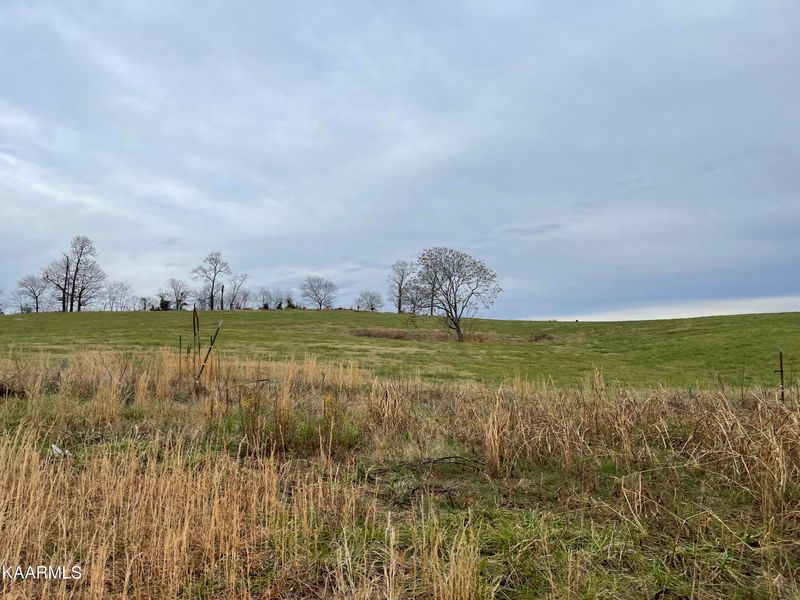 Lot 81 Howell River Rd, Rutledge, TN 37861