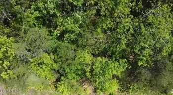 Lot 81 Yellowwood Dr, Sevierville, TN 37876