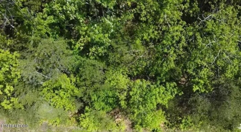 Lot 81 Yellowwood Dr, Sevierville, TN 37876