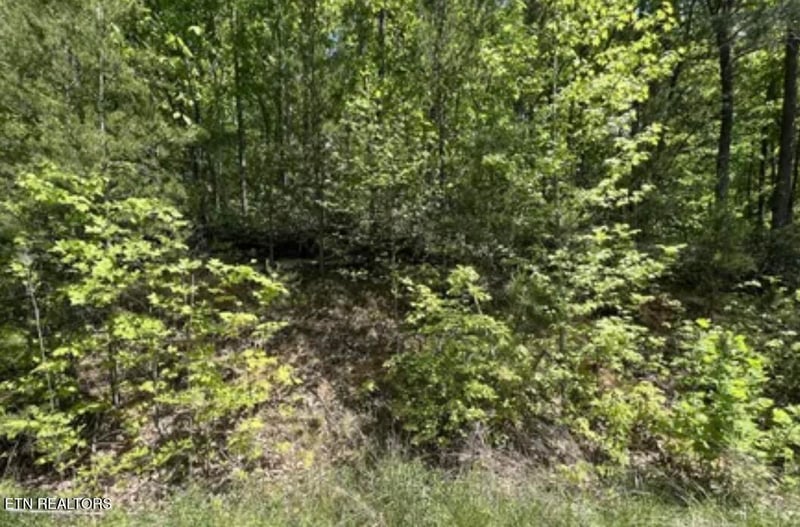 Lot 81 Yellowwood Dr, Sevierville, TN 37876