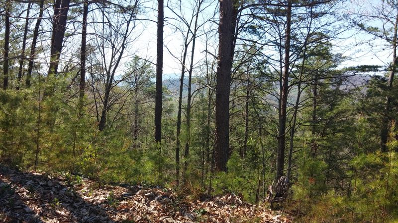 Lot 81e Redtail Rd, Sevierville, TN 37862