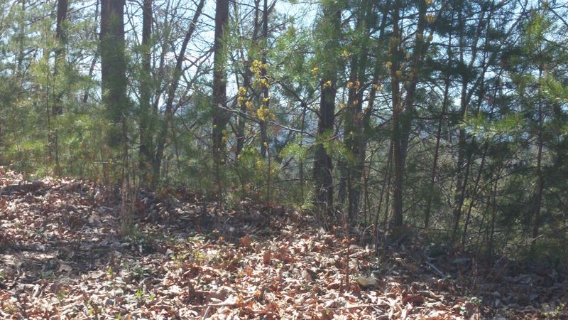 Lot 81e Redtail Rd, Sevierville, TN 37862