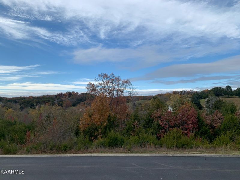Lot 82 Blue Herring Way, Sevierville, TN 37863