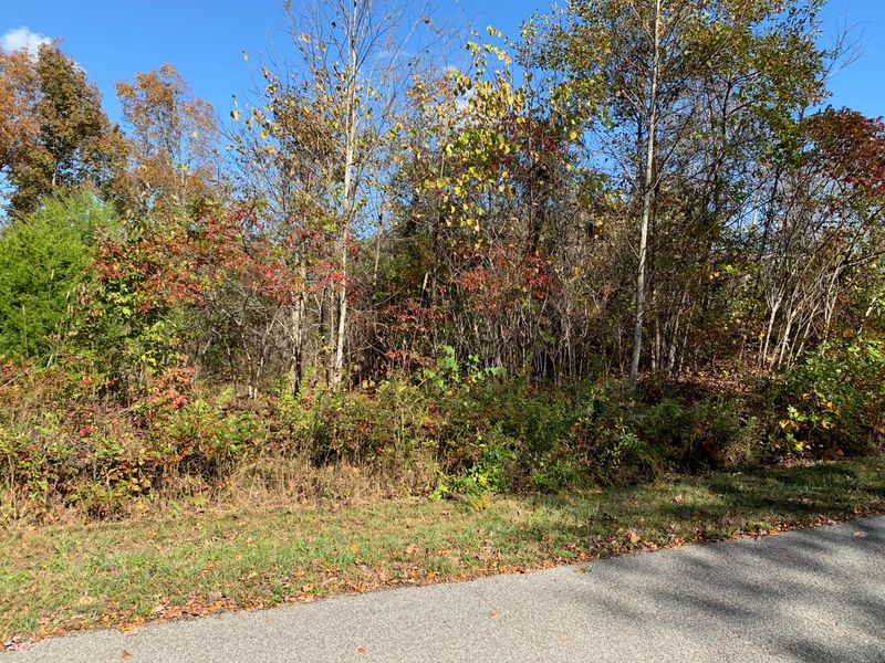 lot 82 Saddleridge Dr, Speedwell, TN 37870