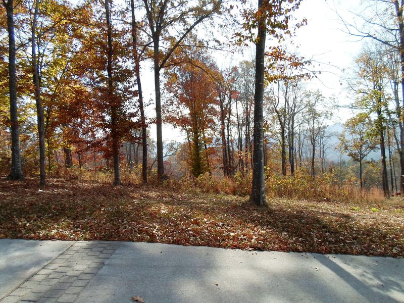 Lot 83 Pinnacle Pointe Way, Sharps Chapel, TN 37866