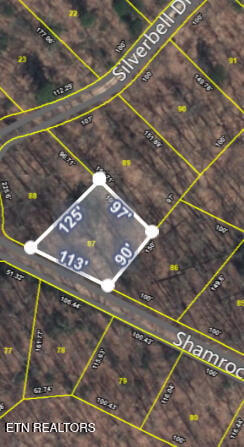 Lot 87 Shamrock Pl, Sevierville, TN 37876