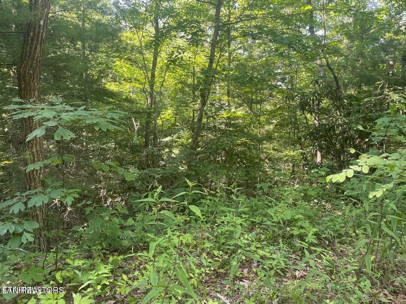 Lot 89 Sycamore St, Sevierville, TN 37876