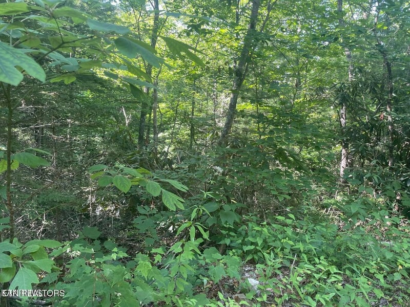 Lot 89 Sycamore St, Sevierville, TN 37876