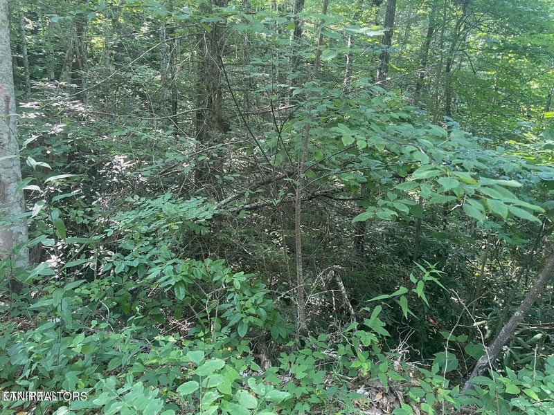 Lot 89 Sycamore St, Sevierville, TN 37876