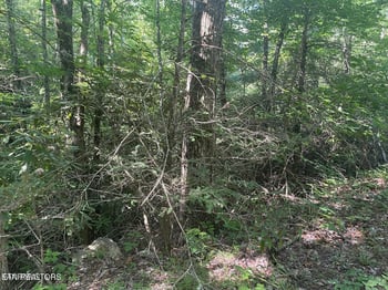 Lot 89 Sycamore St, Sevierville, TN 37876