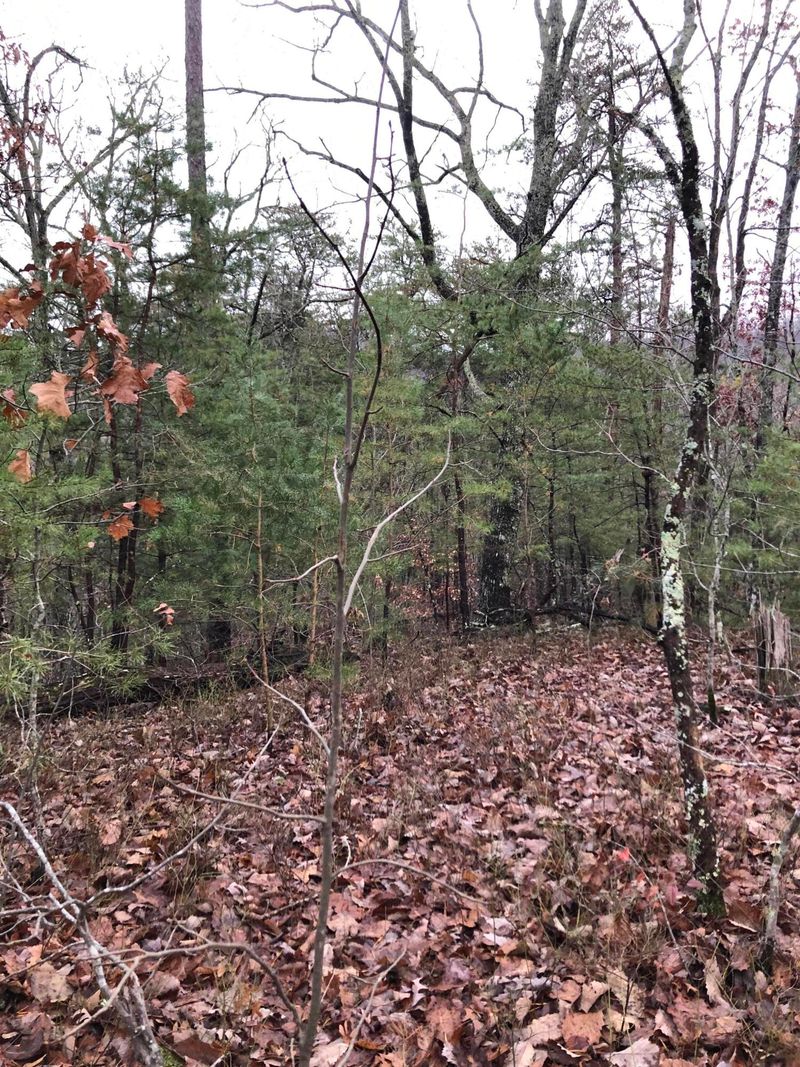 Lot 9-A Monte Wood Cir, Pigeon Forge, TN 37863