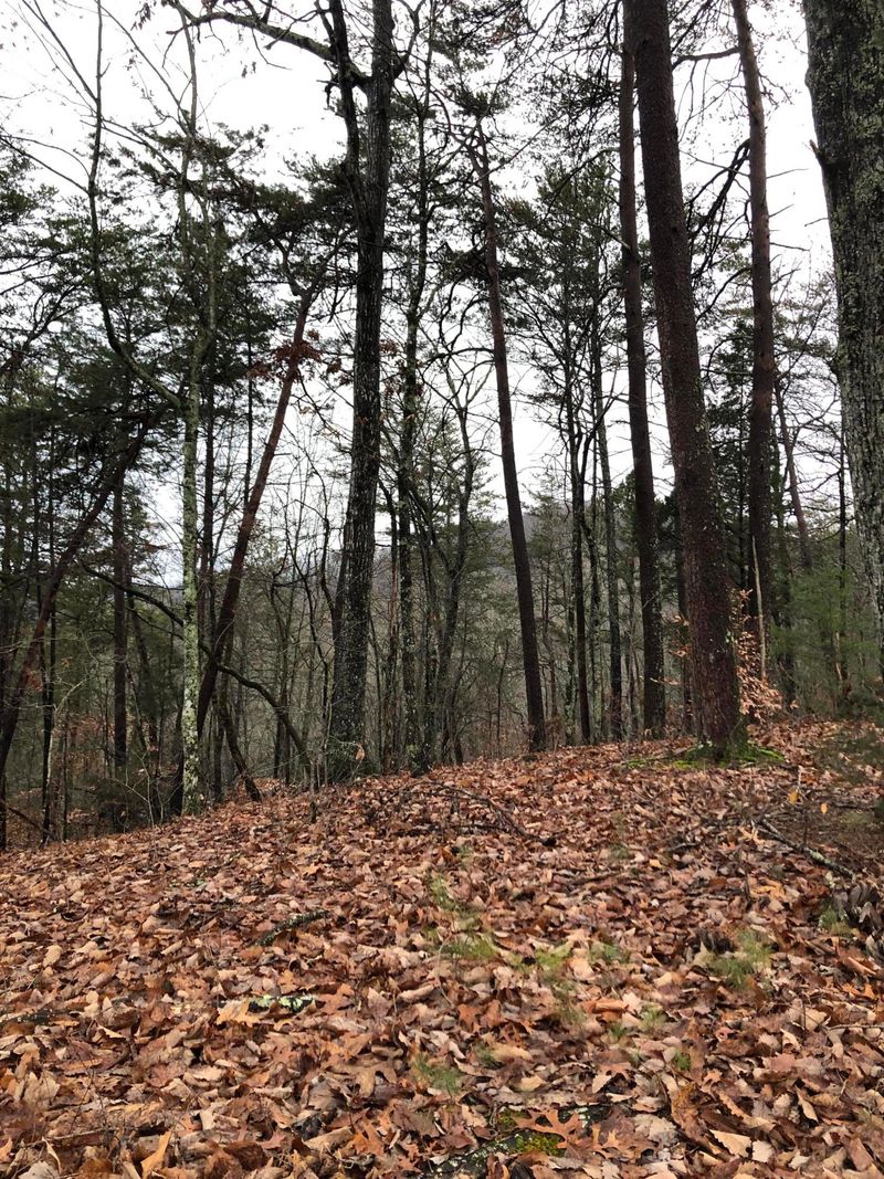 Lot 9-A Monte Wood Cir, Pigeon Forge, TN 37863