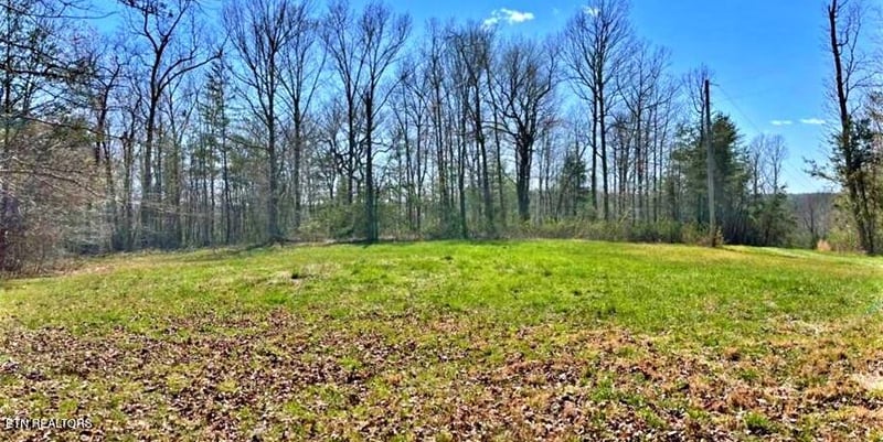 Lot 9 Crest View Dr, Sunbright, TN 37872