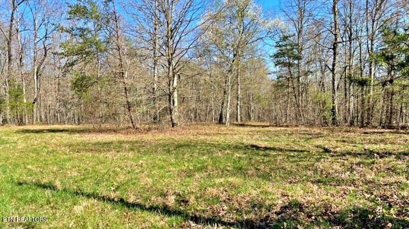Lot 9 Crest View Dr, Sunbright, TN 37872
