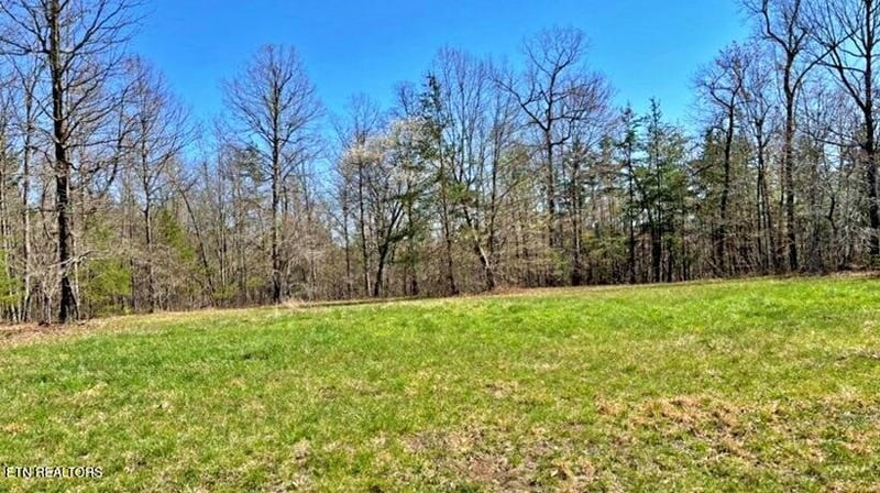 Lot 9 Crest View Dr, Sunbright, TN 37872