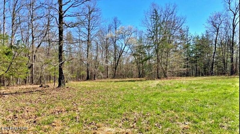 Lot 9 Crest View Dr, Sunbright, TN 37872