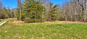 Lot 9 Crest View Dr, Sunbright, TN 37872