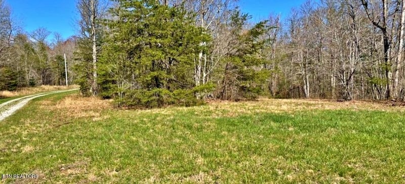 Lot 9 Crest View Dr, Sunbright, TN 37872