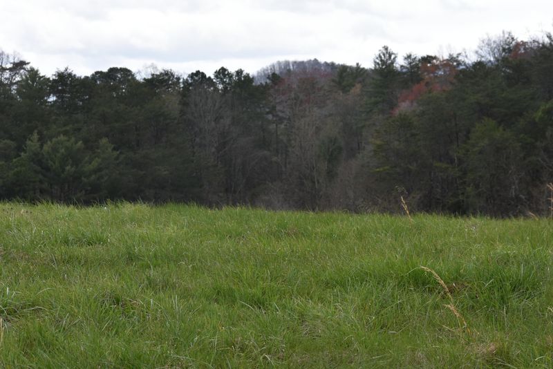 Lot 9 Dayne Dr, Sevierville, TN 37876