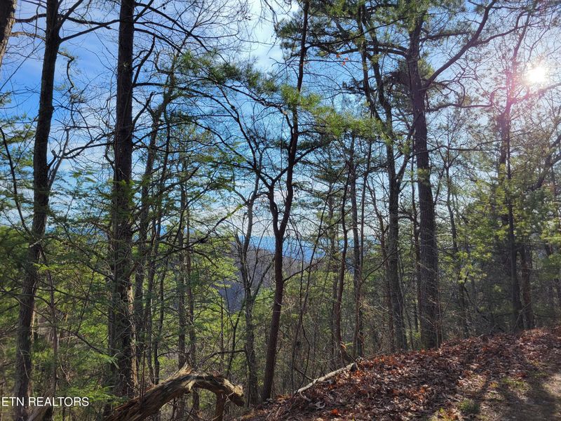 Lot 9 Eagle Point, Sevierville, TN 37876