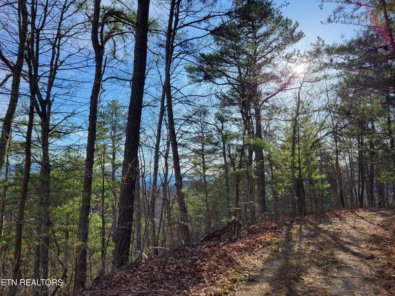 Lot 9 Eagle Point, Sevierville, TN 37876