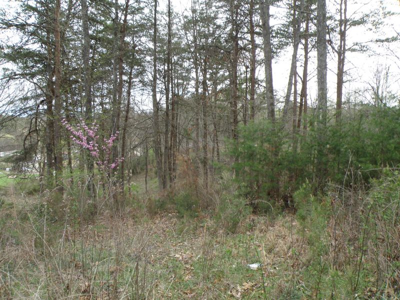 Lot 9 Heather Mccarter Ln, Sevierville, TN 37876