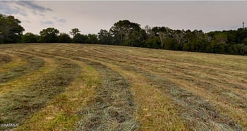 Lot 9 Lowes Ferry Rd, Louisville, TN 37777