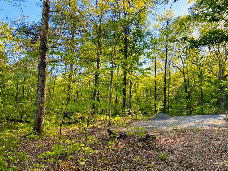 Lot 9 Mountain View Dr, Vonore, TN 37885