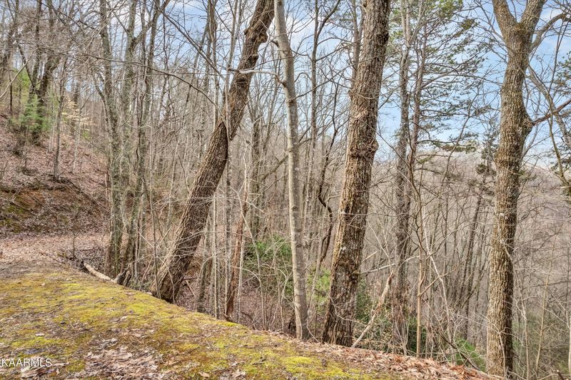 Lot 9 Shagbark Hickory, Sevierville, TN 37862