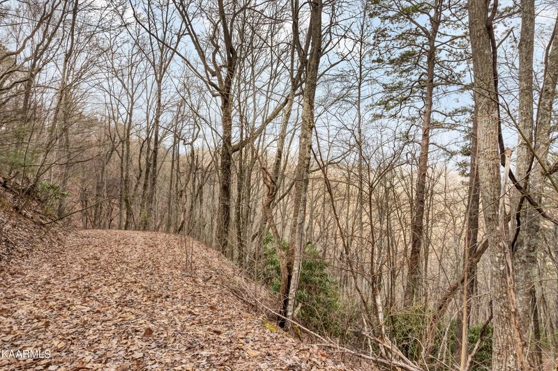 Lot 9 Shagbark Hickory, Sevierville, TN 37862