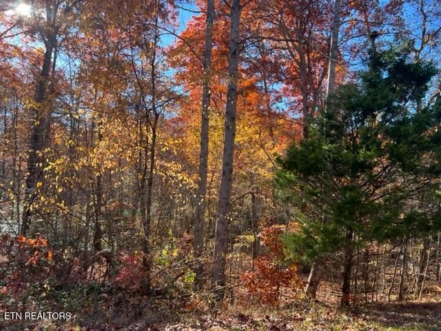 Lot 9 T Pl, Monterey, TN 38574