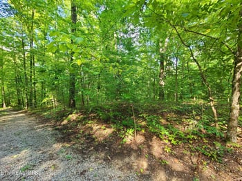 Lot 9 Walden Flats Way, Sevierville, TN 37862