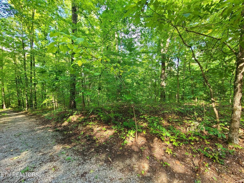 Lot 9 Walden Flats Way, Sevierville, TN 37862