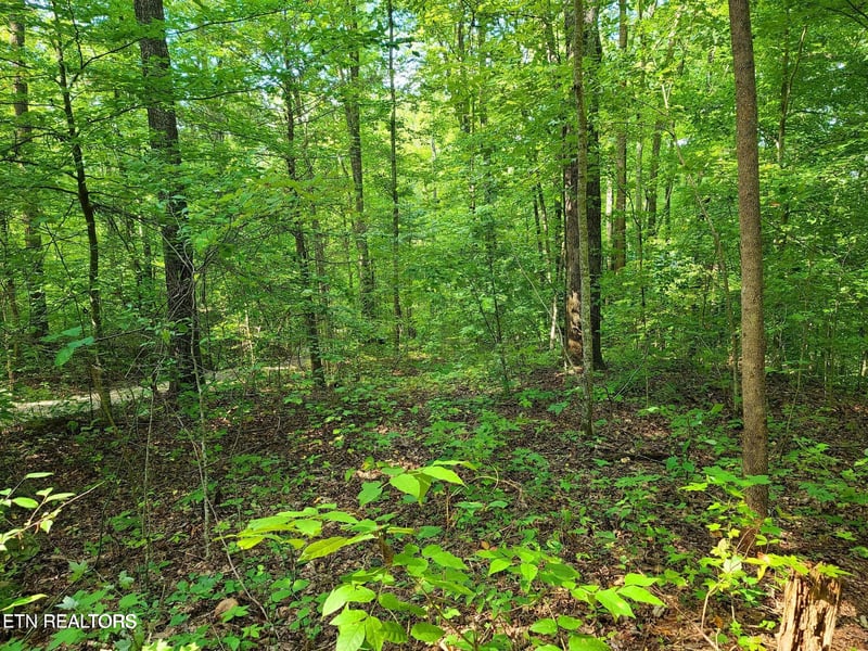 Lot 9 Walden Flats Way, Sevierville, TN 37862