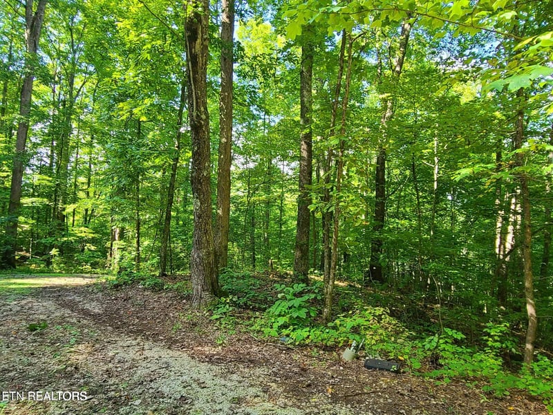 Lot 9 Walden Flats Way, Sevierville, TN 37862